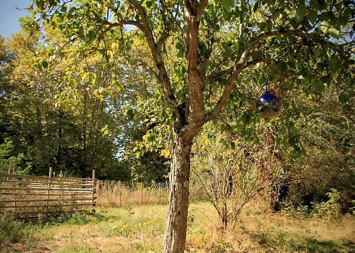 Hotel L'hermitage Du Château De Horgues