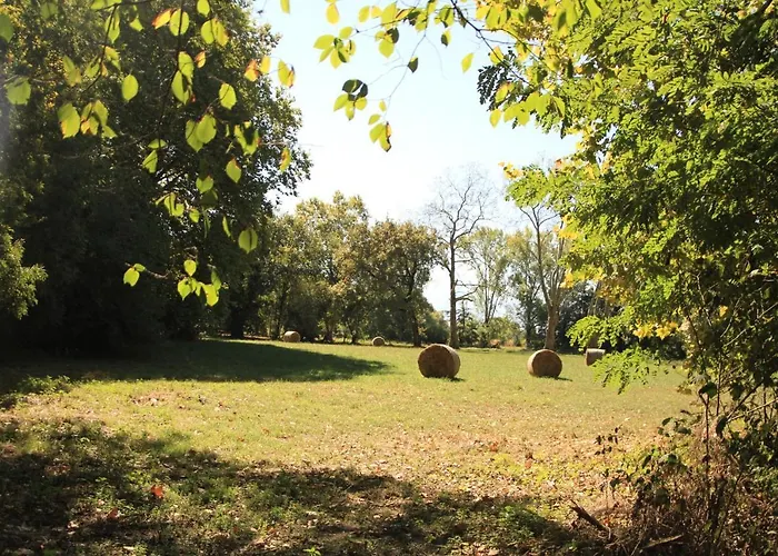 L'hermitage Du Château De Hotel Horgues