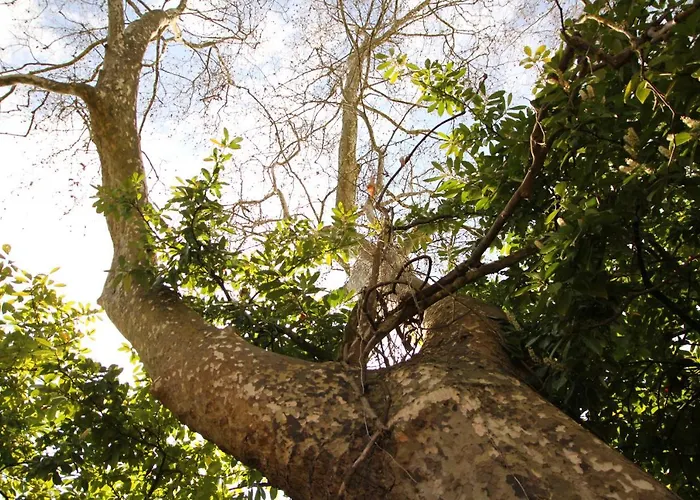 Hotel L'hermitage Du Château De